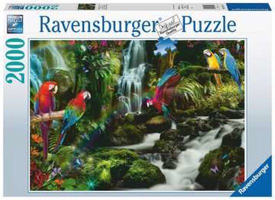 nakoming Tegenslag Deskundige Puzzel 2000 stuks Bonte papegaaien jungle | Toyhouse.nl, de webshop voor  speelgoed!