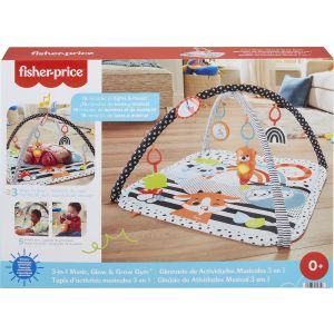 Fisher-Price 3-in-1 Gym met muziek en lichtjes 