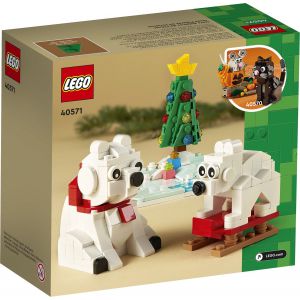 LEGO IJsberen in de winter - 40571 