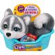 My Really Real Puppy Mini Aurora 21 cm 