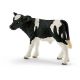 Holstein Kalf