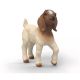Schleich 14930 Boer Geit Jong 