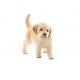 Schleich 16396 Golden Retriever welp