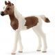 Schleich 13839 pintabian veulen