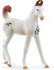 Schleich HORSE CLUB - Marwari Veulen - 14896 