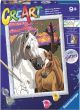 Schilderen op nummer sunset horses