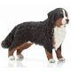 Schleich Berner Sennenhond