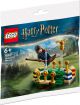 LEGO 30651 Harry Potter Zwerkbal Training Polybag 