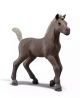 Schleich 81460 Verzamelbaar Veulen Darcy
